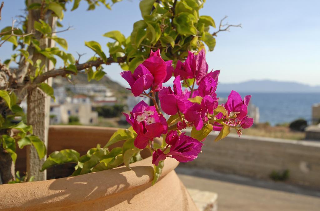 Pantonia Apartments Agia Pelagia  Kamer foto